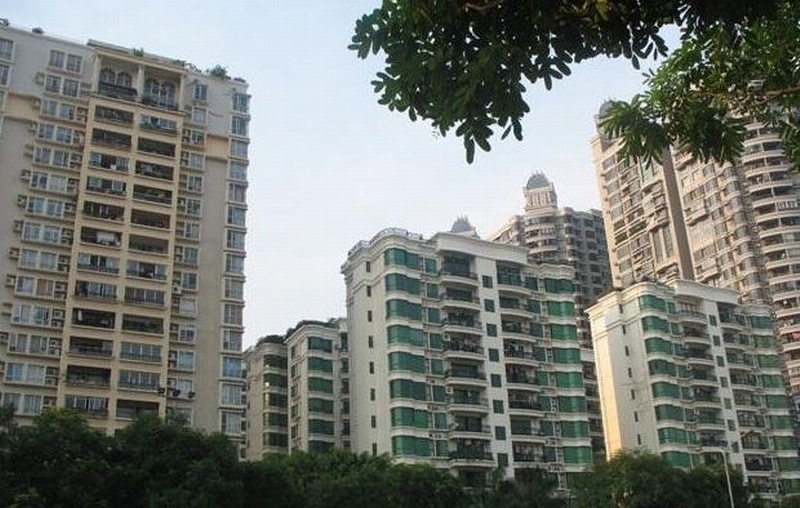 timg (2).jpg timg (2).jpg