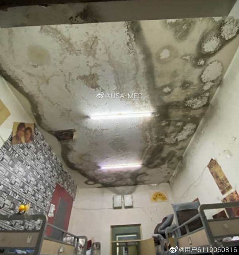 8213777e76e.jpg 8213777e76e.jpg