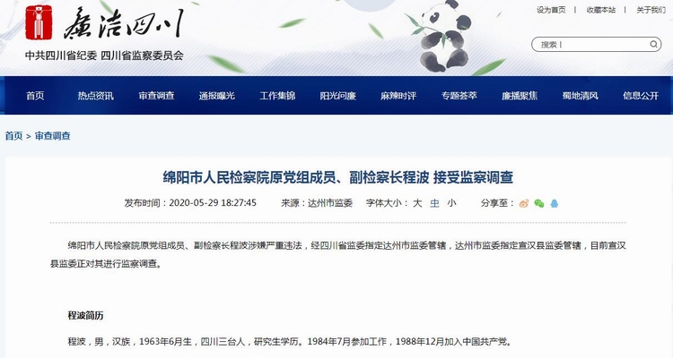 绵阳市人民检察院原党组成员、副检察长程波.jpg 绵阳市人民检察院原党组成员、副检察长程波.jpg