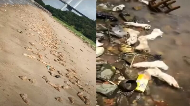 3-17-800x450.jpg 3-17-800x450.jpg