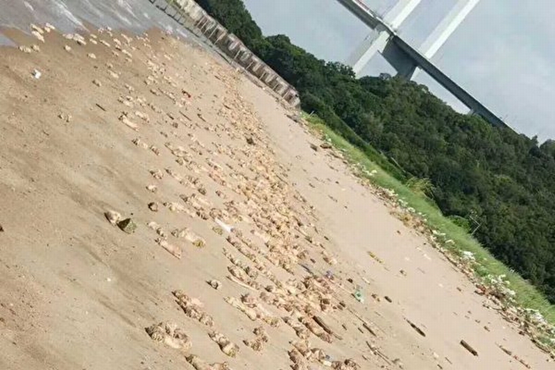 EcrkMqRUEAAzr4T-600x400.jpg EcrkMqRUEAAzr4T-600x400.jpg