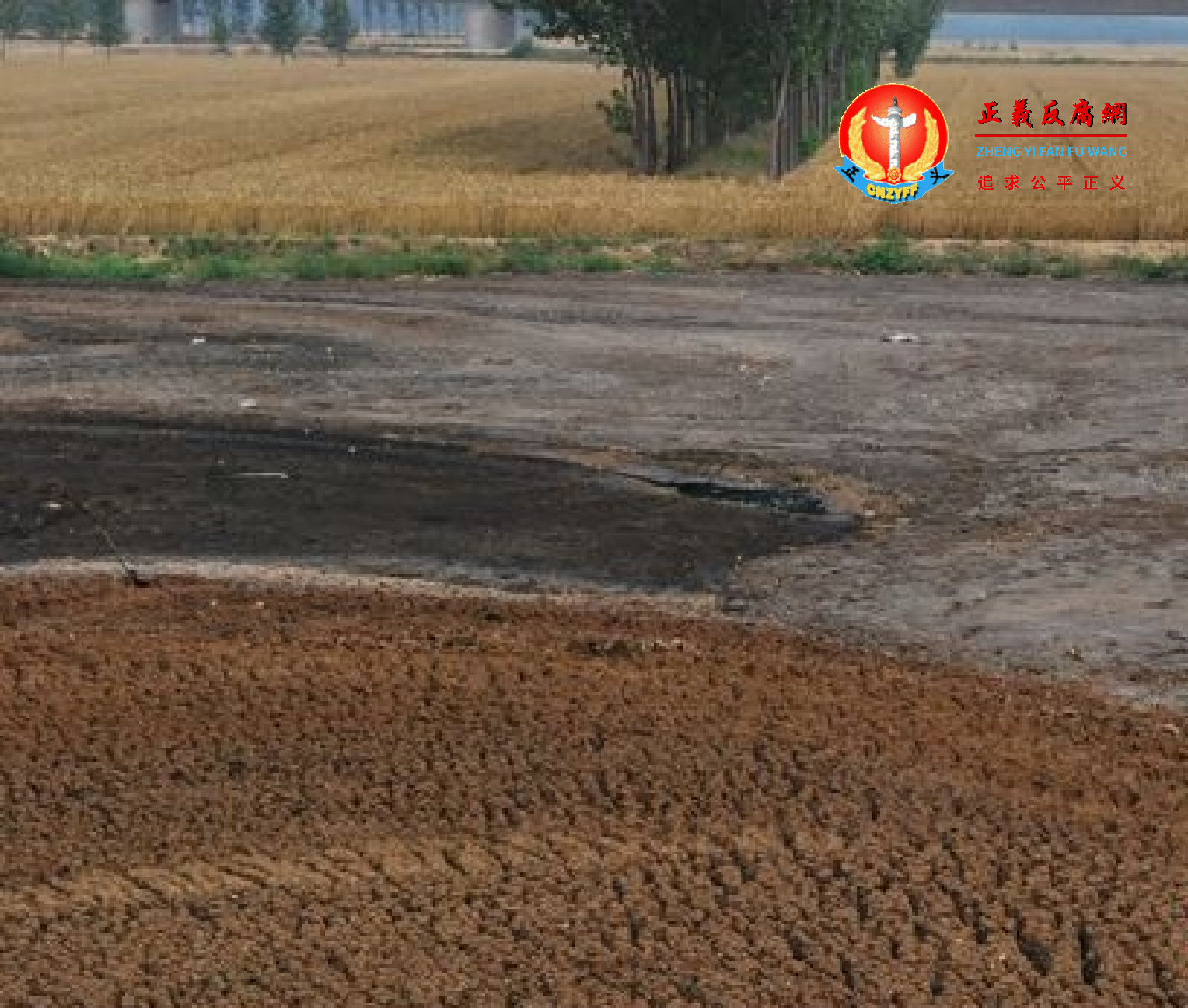 新乡华星药厂倾倒在麦田边的废物.png 新乡华星药厂倾倒在麦田边的废物.png