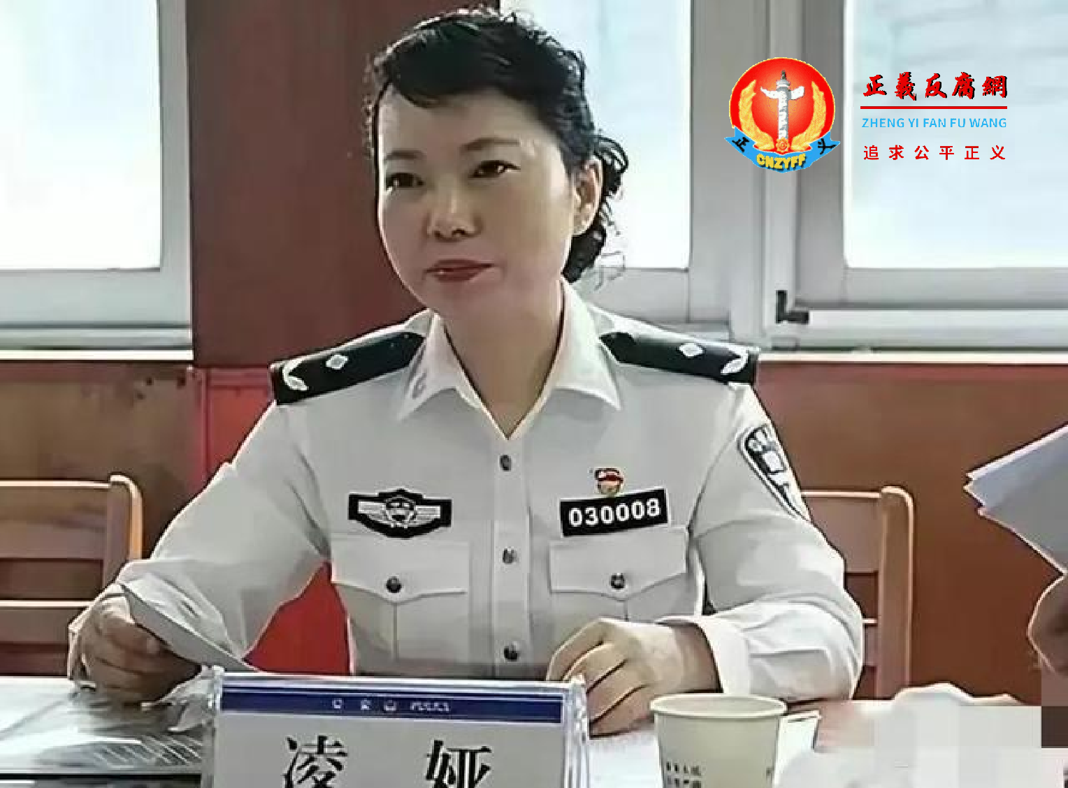 株洲市公安局原副局长凌娅.png 株洲市公安局原副局长凌娅.png