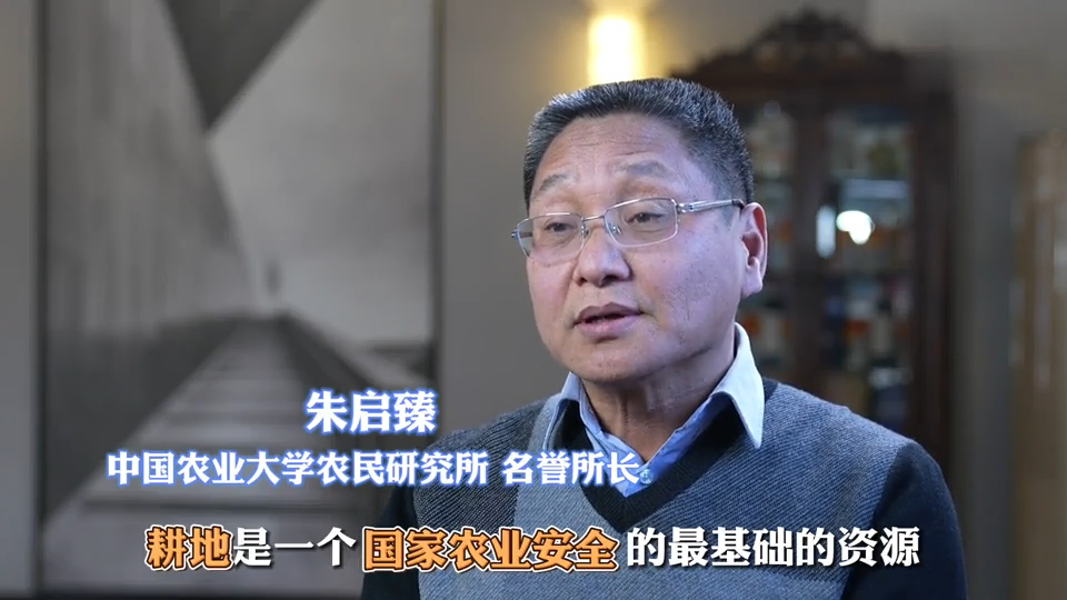 一号文件·专家谈|耕地是我们的命根子,18亿亩耕地必须实至名归