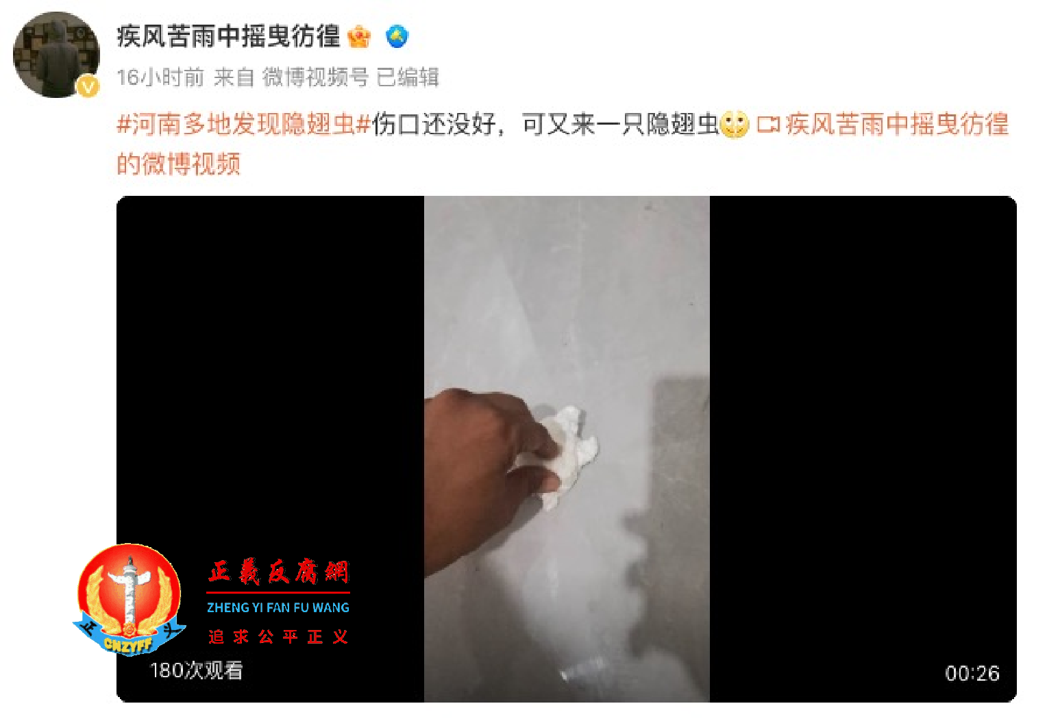 2023年9月,河南网民发视频透露自己捕捉隐翅虫的过程。.png 2023年9月,河南网民发视频透露自己捕捉隐翅虫的过程。.png